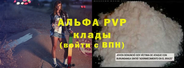 таблы Богородицк