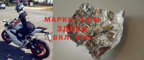 прущий лед Бородино